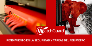 Seguridad perimetral